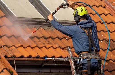 Démoussage et hydrofuge de toiture à Vioménil